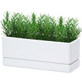 D'vine Dev 12 Inch Window Box Planter, Rectangle Plastic Herb Planter by DvineDevPlanterPotsandStand