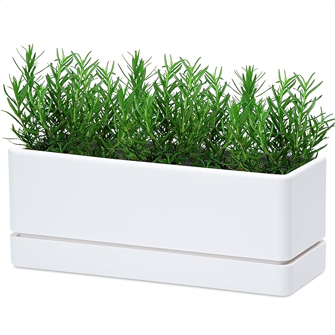 D'vine Dev 12 Inch Window Box Planter, Rectangle Plastic Herb Planter by DvineDevPlanterPotsandStand