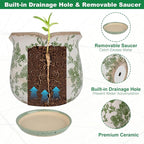 Ceramic-Planters-for-Indoor-Plants - Image 4