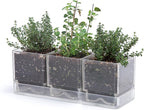 D'vine Dev Herb Garden Planter Set, Plastic Plant Pots by DvineDevPlanterPotsandStand