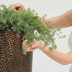 Worth 2 Pack 28" Tall Narrow Metal Planter - Image 4