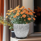 Ceraimc Plant Pot - Image 2