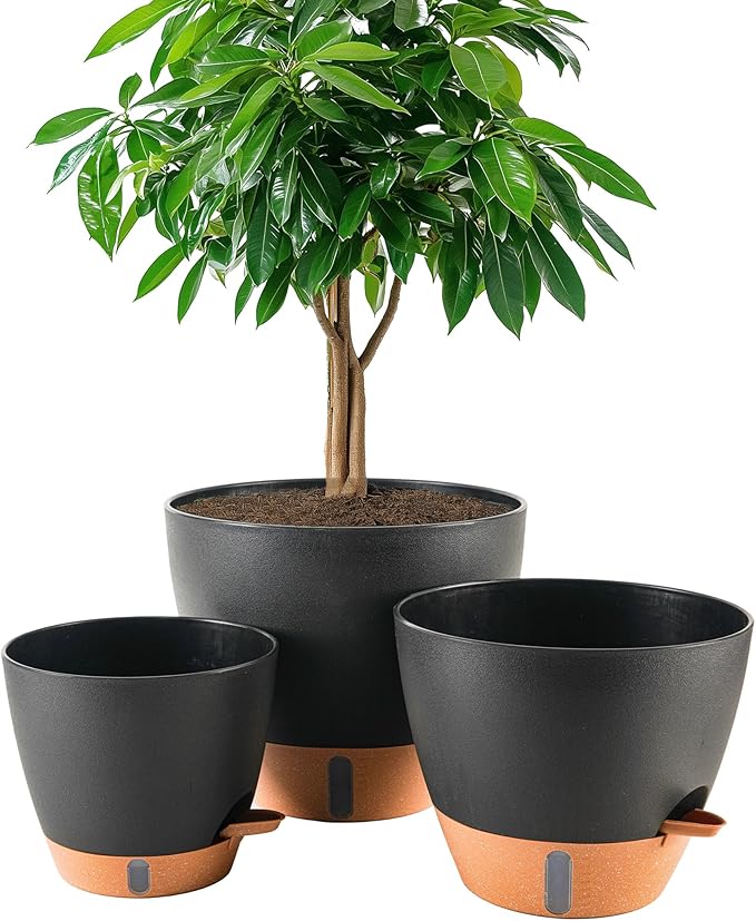 8/10/12 Inch Self Watering Pots by Fielda