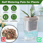 12 Pack Self Watering Pots Set for Indoor Plants, 2.5" Small Clear Self - Image 4