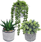 Winlyn 3 Pcs Small Potted Succulents Plants Artificial String of Pearls Aloe by Winlyn