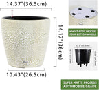 Dexceder 15x14 Self Watering Planter - Image 3