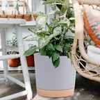 QCQHDU 12 inch Plant Pot, 2 Pack Planters - Image 6
