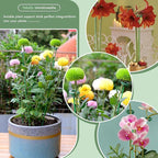 Invisible Plant Sticks 17 inch &11 inch SupKing 16Pcs Orchid Stakes - Image 6