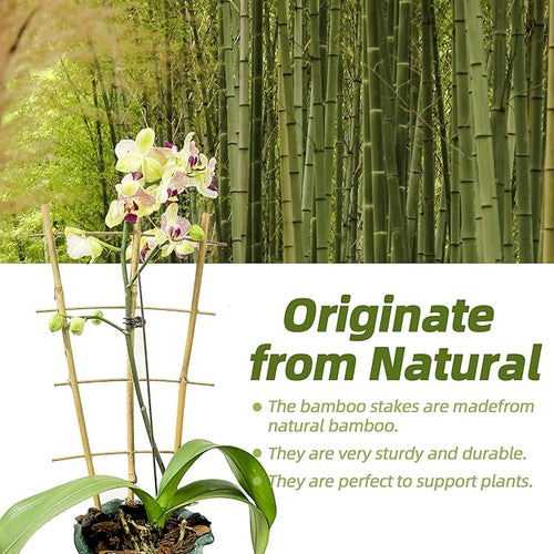 20 Pack 16" Bamboo Trellis for Climbing Plants-Natural Garden Ladder Fan - Image 2