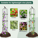 Garden Trellis for Climbing Plant Outdoor - Image 2