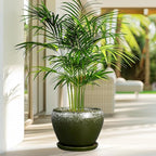 8 Inch Plant Pot - Image 4