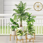 5-Pack Metal Plant Stand Indoor Anti-Rust Flower Display Stand Heavy Duty by Unknown
