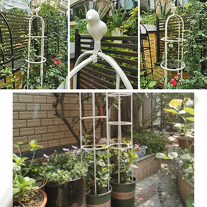 Garden Trellis for Climbing Plants, Rustproof Metal Pipe - Image 8