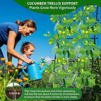 Lalahoni Cucumber Trellis, 6ft Tall Metal Garden Trellis - Image 6