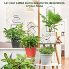 Indoor Plant Trellis for Climbing Plants, 16inch Small Garden Metal Trellis for - Image 6