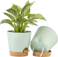FaithLand 2-Pack 8 Inch Planter Pots by FaithLand