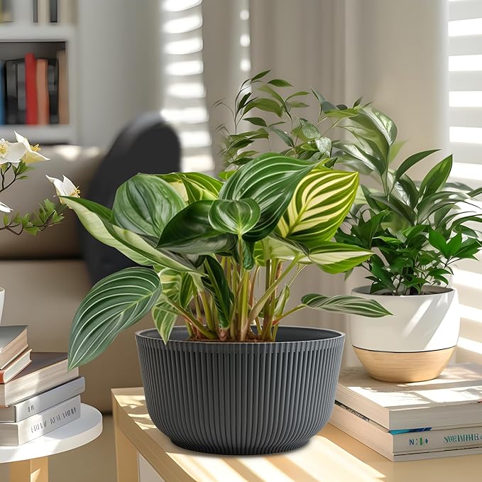 T4U 8 Inch Plant Pots, 2 Pack Self Watering Planter - Image 6