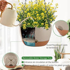 Hanging Planters for Indoor Plants - Image 4