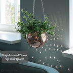 SCANDINORDICA Disco Ball Planter – Value Package: Mirror Disco Planter - Image 4
