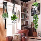 Macrame Plant Hangers - Image 5