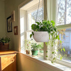 T4U 10 Inch Hanging Planters for Indoor Outdoor Plants - Image 3