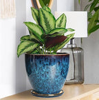 Ceramic Plant Pot, 6.3 Inch Ceramic Planter Pot - Image 6