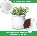 Phoenix Vine 4 Inch Self Watering Planter Pot, Design White Terracotta Pots - Image 3
