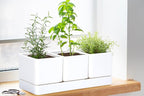 D'vine Dev Herb Garden Planter Set, Plastic Plant Pots - Image 4