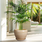 Planter 8 Inch - Indoor/Outdoor Ceramic Plant Pot - Image 5