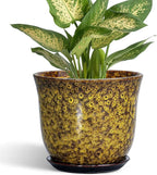 Ceramic Plant Pots by SUNPOTFOR