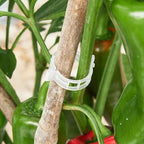 300 Pcs Plant Support Clips, Plastic Clips - Image 9