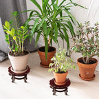 Geetery 2 Pcs 4 to 12 in Wooden Plant Stands Indoor Chinese Oriental Plant Stand - Image 6