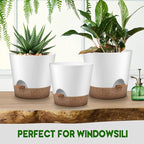 Indoor Outdoor Plant Pots- Self Watering Planters - Image 6