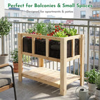 Raised Garden Bed with Transparent Acrylic Side Panels, Elevated Wooden Planter - Image 2