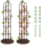 Garden Obelisk Trellis for Climbing Plants by Nexum