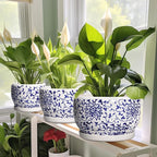 SQOWL 6 Inch Planter - Image 5