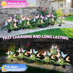 Solar Lights Outdoor Decorations Waterproof Newest Solar Garden Lights - Image 5