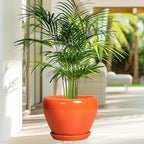 Indoor Plant Pot 8 Inch - Image 4