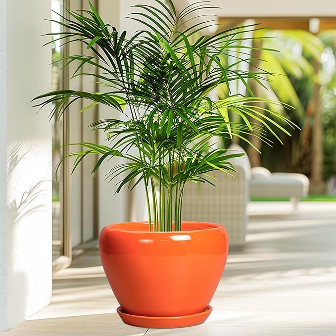 Indoor Plant Pot 8 Inch - Image 4