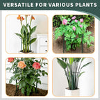 Garden Plant Support Cagess, High Heavy Duty Interlinked Half Round Peony - Image 4