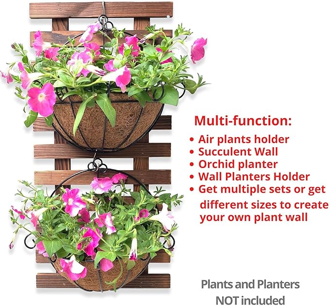 ShopLaLa Wall Planter - Image 5