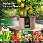 VIVOSUN 5-Pack 20 Gallons Grow Bags Heavy Duty Thickened Nonwoven Fabric Pots - Image 7