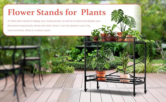 Zhongma 2 Tier Sturdy Metal Plant Stand - Image 5
