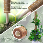 Moss Pole 47.5 Inch - Image 4