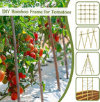 Plant Stakes 3FT, Natural Bamboo Stakes, HAINANSTRY 25Pcs Sturdy Bamboo Garden - Image 4