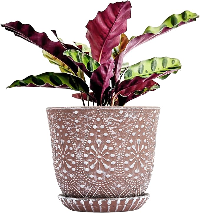 Gepege 8 Inch Plant Pot for Plants, Ceramic Planter by Gepege