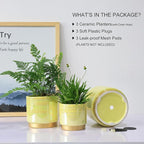 Gepege Indoor Pots for Plants, Ceramic Planter - Image 5