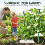 50x50 Cucumber Trellis for Raised Bed - Image 3