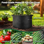 T4U Fabric Plant Grow Bags - Image 3