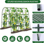 Cucumber Trellis for Raised Bed - Image 6
